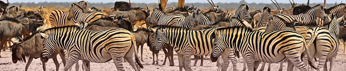 Namibia Accommodation footer banner