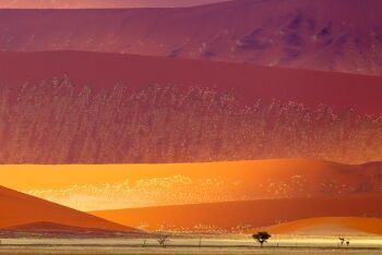 Sand dunes in the Namib-Naukluft National Park, Namibia